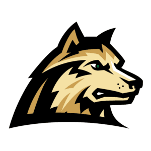 secondary_logo_on_black_color